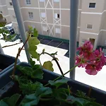 Apto nas montanhas