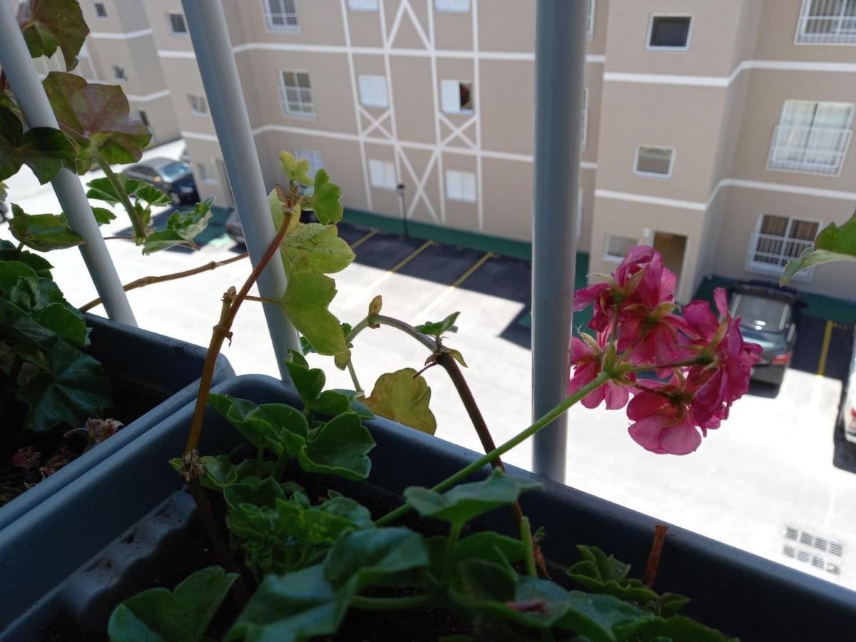 Apartamento Apto Nas Montanhas *